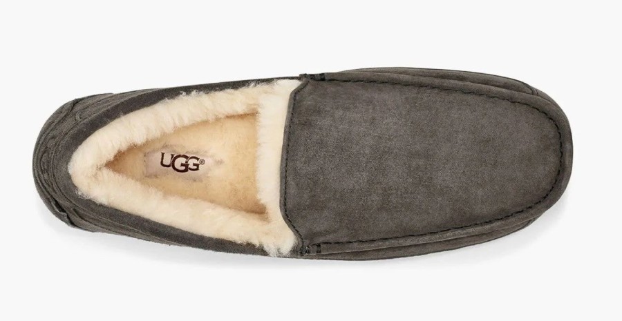 Footwear * | Ugg Mens Slipper Ascot Suede