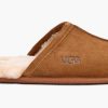 Footwear * | Ugg Mens Slipper Scuff Chestnut